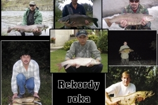 Rekordy roka