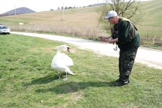 Naša spoločníčka.