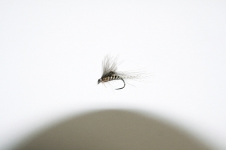Rodenec (emerger)