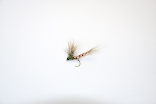 Dospelec (dun)
