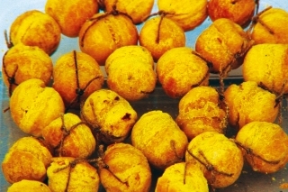 Rohlíkové boilies vieme použiť aj pri feedri.