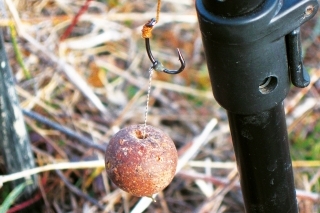 Moja obľúbená montáž s krúžkom a 24 mm boilies.