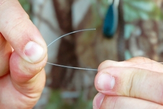Viazanie "kravského uzla" sa začína jednoduchým prehnutím fluorokarbónu asi 4 cm od konca.