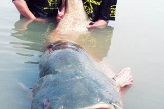 Taliansko 2011 Stretnutie s gigantom 4