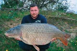 Z tejto ryby sa na chvíľu stal môj osobák, krásny silný kapor s hmotnosťou 18 kg a peknou stavbou tela.