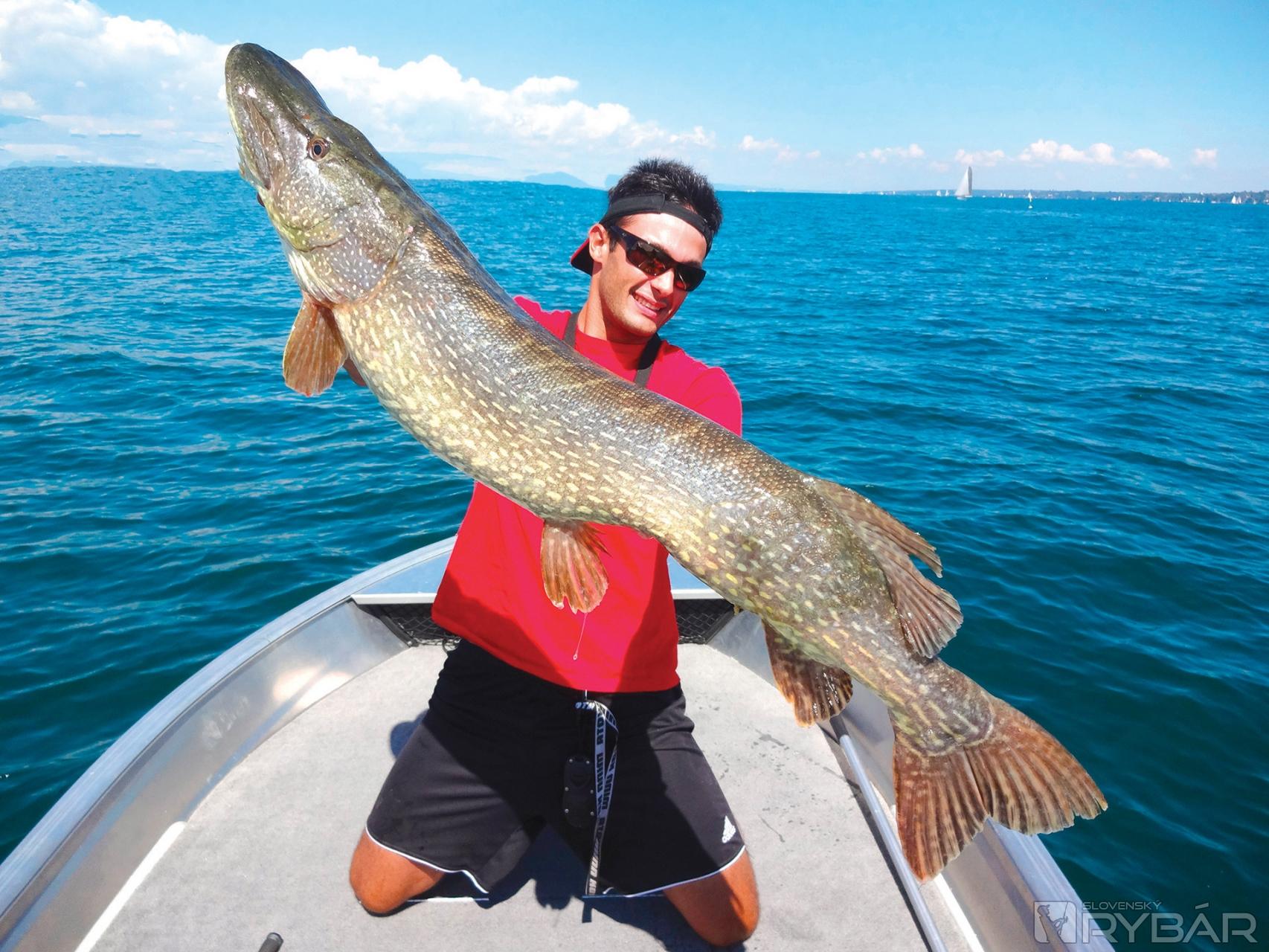 Skvelá, 122,5 cm kráska ulovená v roku 2013.