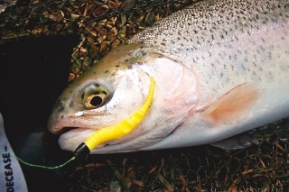 Dúhak na gumku od Crazy Fish.