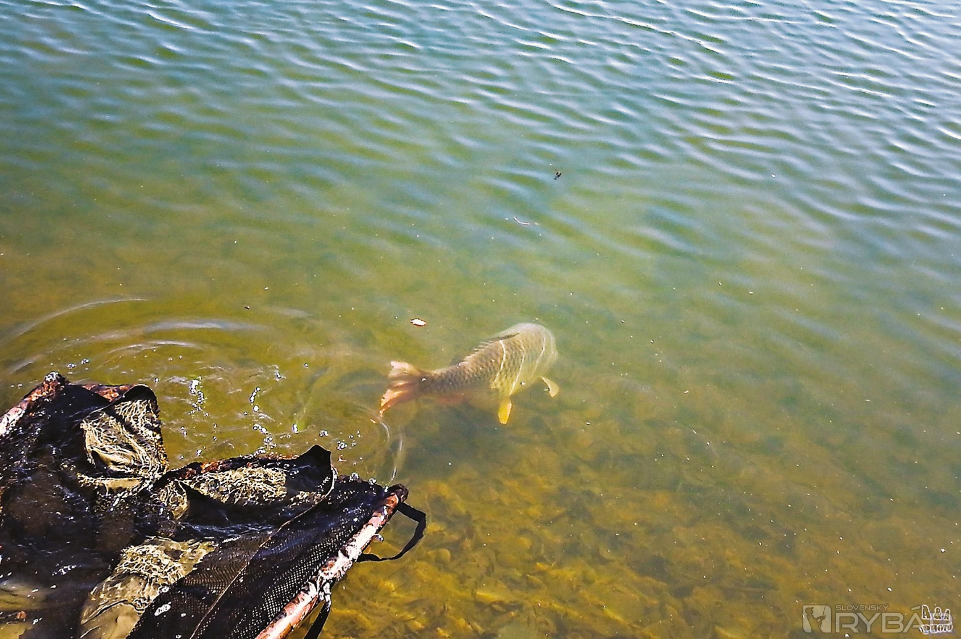Na talianskom jazere Lago Boschetto 3