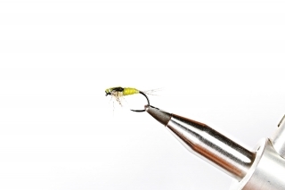 Baetis nymph