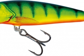 Salmo minnow využijeme najmä pri aktívnom love.