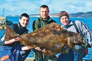 Lukyho halibut.