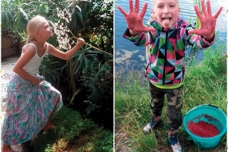 Ako sa jeden sen o baletke utopil vo Važine 2