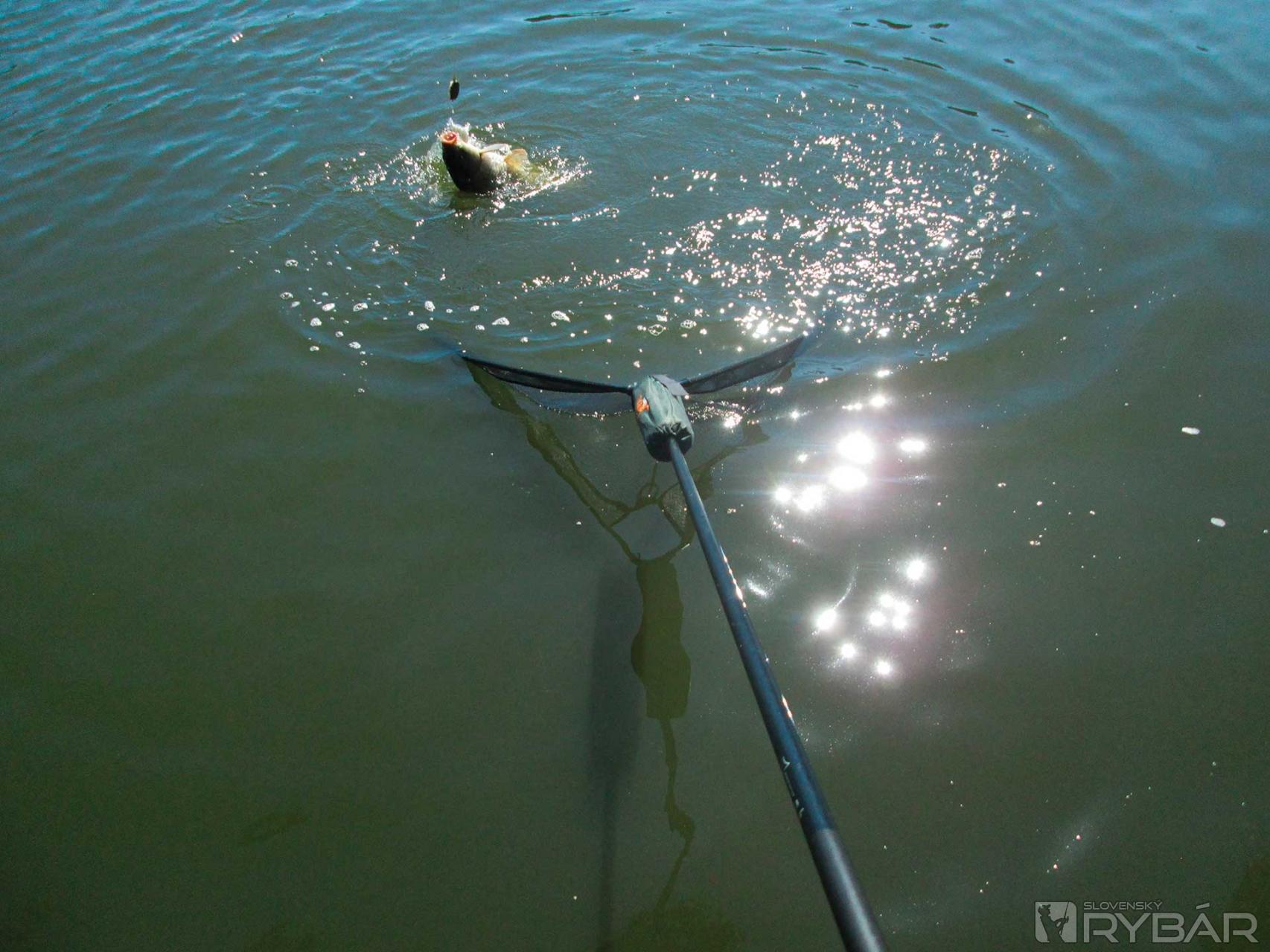 Flat Method Feeder 4