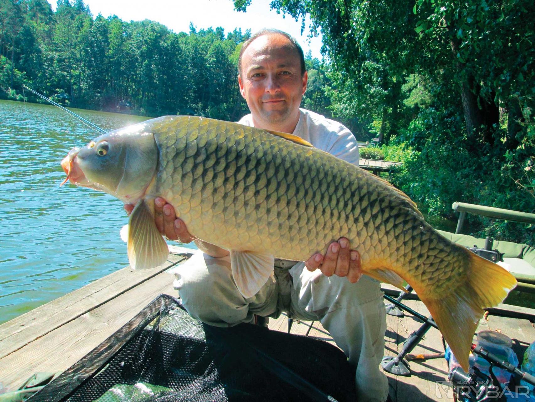 Flat Method Feeder 5