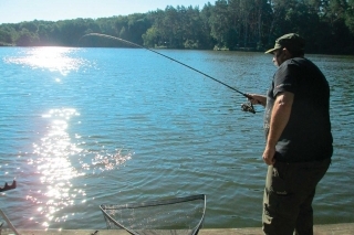 Flat Method Feeder 2