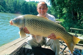 Flat Method Feeder 7