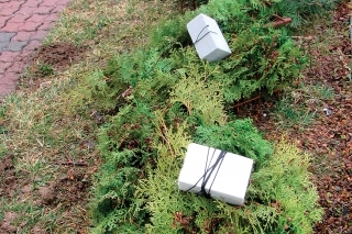 Pripravili sme aj 10 klasických hniezd z čečiny a výterových kief. Tieto umiestňujem na nové miesta na skúšku.