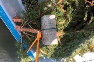 A už len pomaly pustiť dolu a vyšponovať. Je dôležité aby hniezda boli tých 5 metrov od seba, inak by sa samce bili medzi sebou.