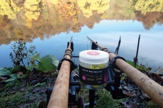 Manilla Yellow Wafters ma sprevádzajú na každej výprave na tomto jazere.