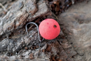 Bait Floss zapálime zapaľovačom a zatlačíme.