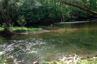 Krásny úsek rieky Hornád nad obcou Kysak.