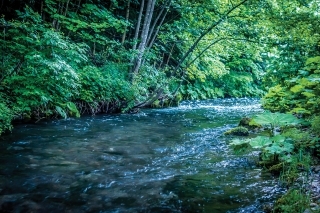 Krištáľovo čistá voda na Starohorke.