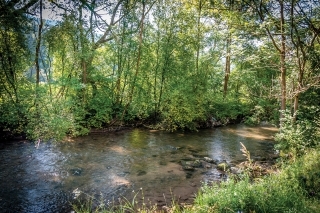 Krásny úsek na rieke Revúca.