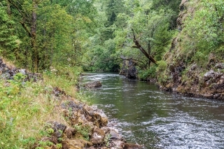 Príroda na Čiernom Váhu.