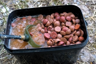 Predmočené kŕmenie na rieke má svoje výhody. Určite to skúste.