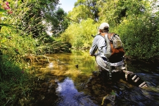Od veľkých riek až po potoky, mrenu je možné nájsť na širokom spektre miest.