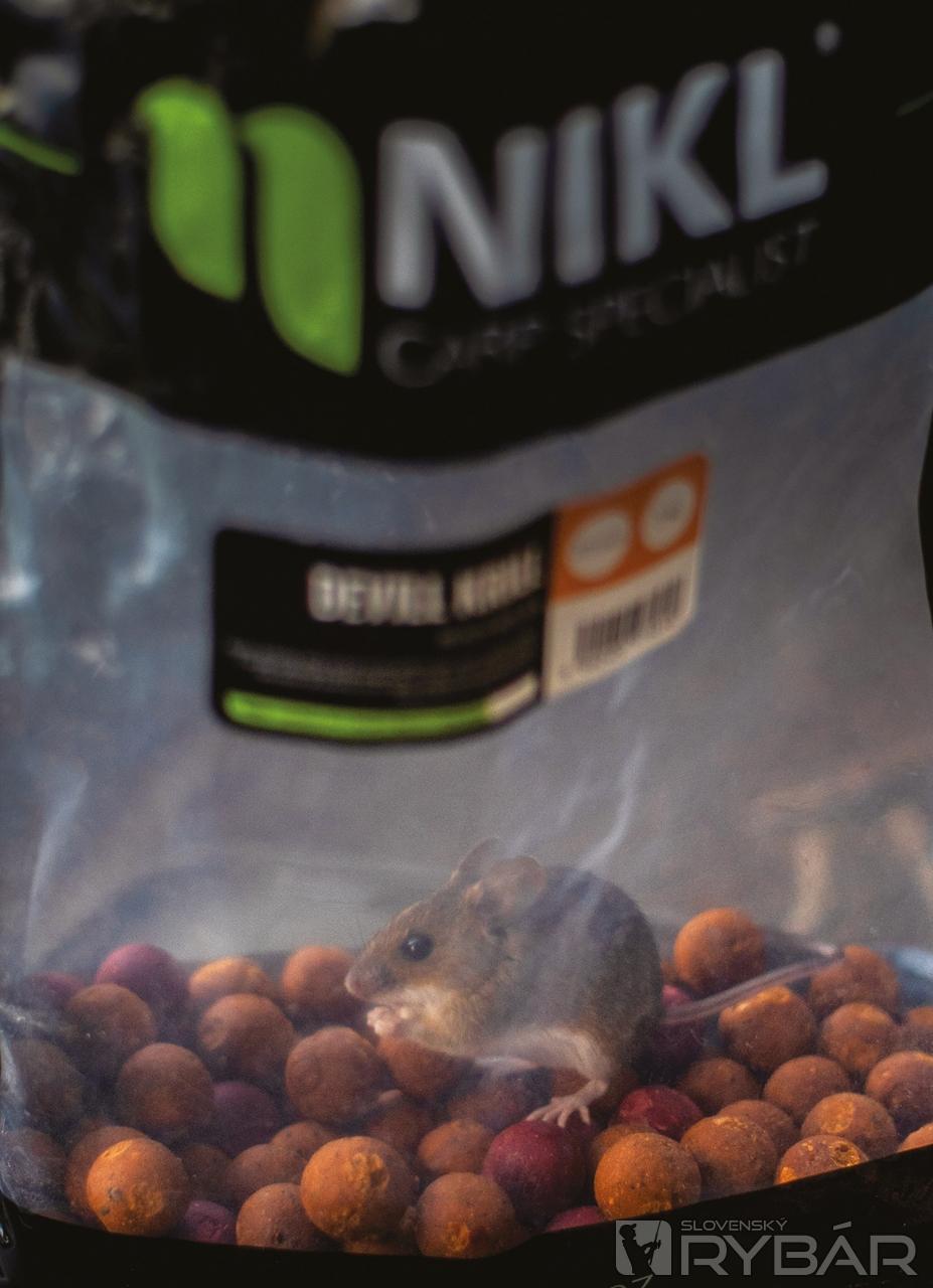 Devill krill bola jasná zbraň do chladnej vody.