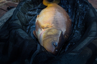 Tour de Arizona Carp Lake 3