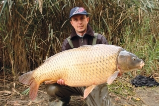 Krásny metrový šupináč neodolal príťažlivosti prírodnej aromatickej zložky White Fish Halibut Pelets.