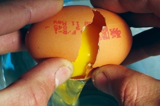 3. Primiešame jedno až dve vajíčka.
