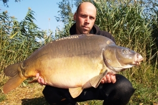 Vo štvrtok v noci chytený a veľmi bojujúci 15,50 kg lysec.
