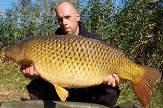 V pondelok v noci chytený zlatožltý šupináč s hmotnosťou 17,50 kg.