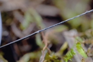 Stiahnite cca 15 cm stuženého povlaku.