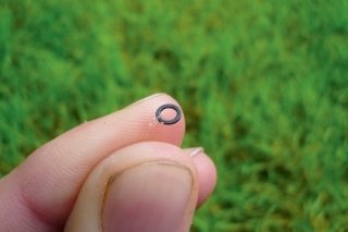 Mikrokrúžok Quantum Radical 
3,7 mm s kúskom tenučkého fluorokarbónu. Ten poslúži ako “vlas”.