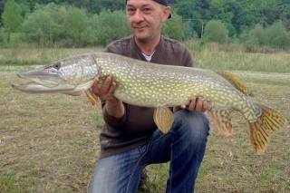 Nikto nemal šancu siahnuť na prvenstvo “laguna22”. Šťuka 103 cm.