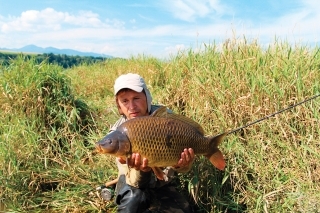 Neuveriteľne zmäsilé kapry z Bešeňovej.