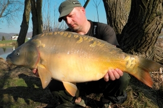 Marcový, nádherne sfarbený lysec s hmotnosťou tesne cez 10 kg.