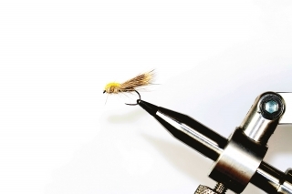 Baloon caddis