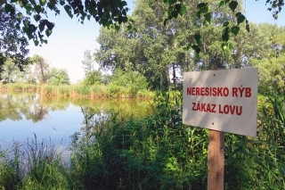 Pre väčšinu rybárov nepopulárne, ale z hľadiska zachovania dostatku rýb aj do budúcnosti,  nevyhnutné obmedzenie.