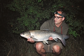 Môj prvý amur spod slivky divej.