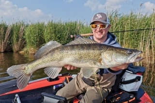 Zubáč okolo 80 cm je už riadny bojovník. Tie zábery na strímer sú nepopísateľné.