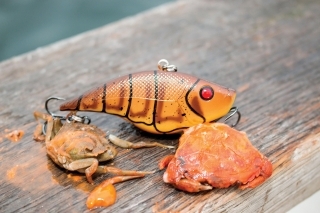 Farebné vyhotovenie imitujúce 
kraba, top farba na Rujane
a v revíroch s výskytom
krabov a rakov.