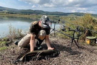 Aj opatrný amur podľahne chuti čerstvého ovocia. Treba ho použiť 
v čase, keď dozrieva 
a úspech sa dostaví.