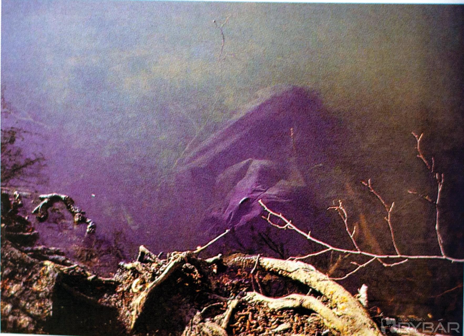 Tesne po podobraní si Terry Hearn mohol pomyselne odškrtnúť ďalší prelomový úlovok vo svojej kariére.