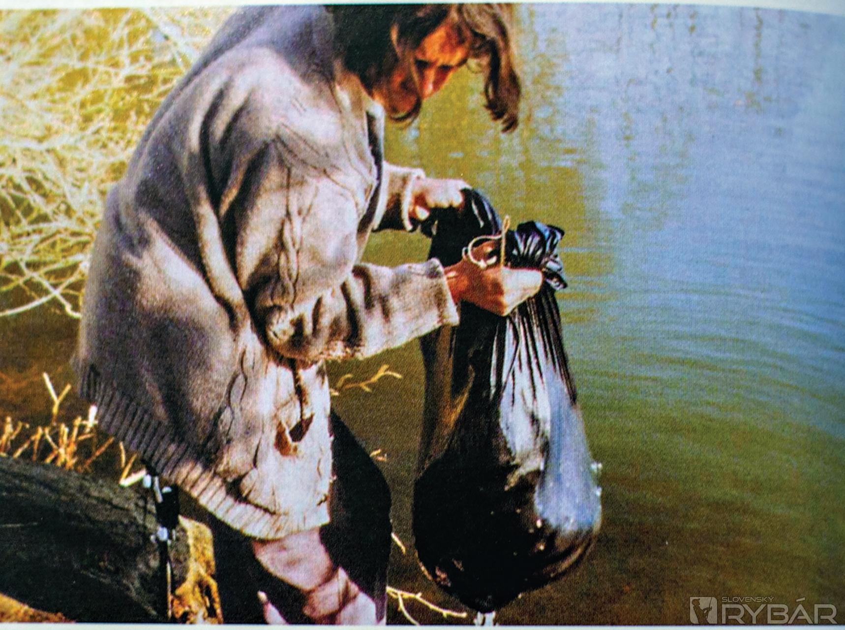 Terry Hearn vs. Bazil.