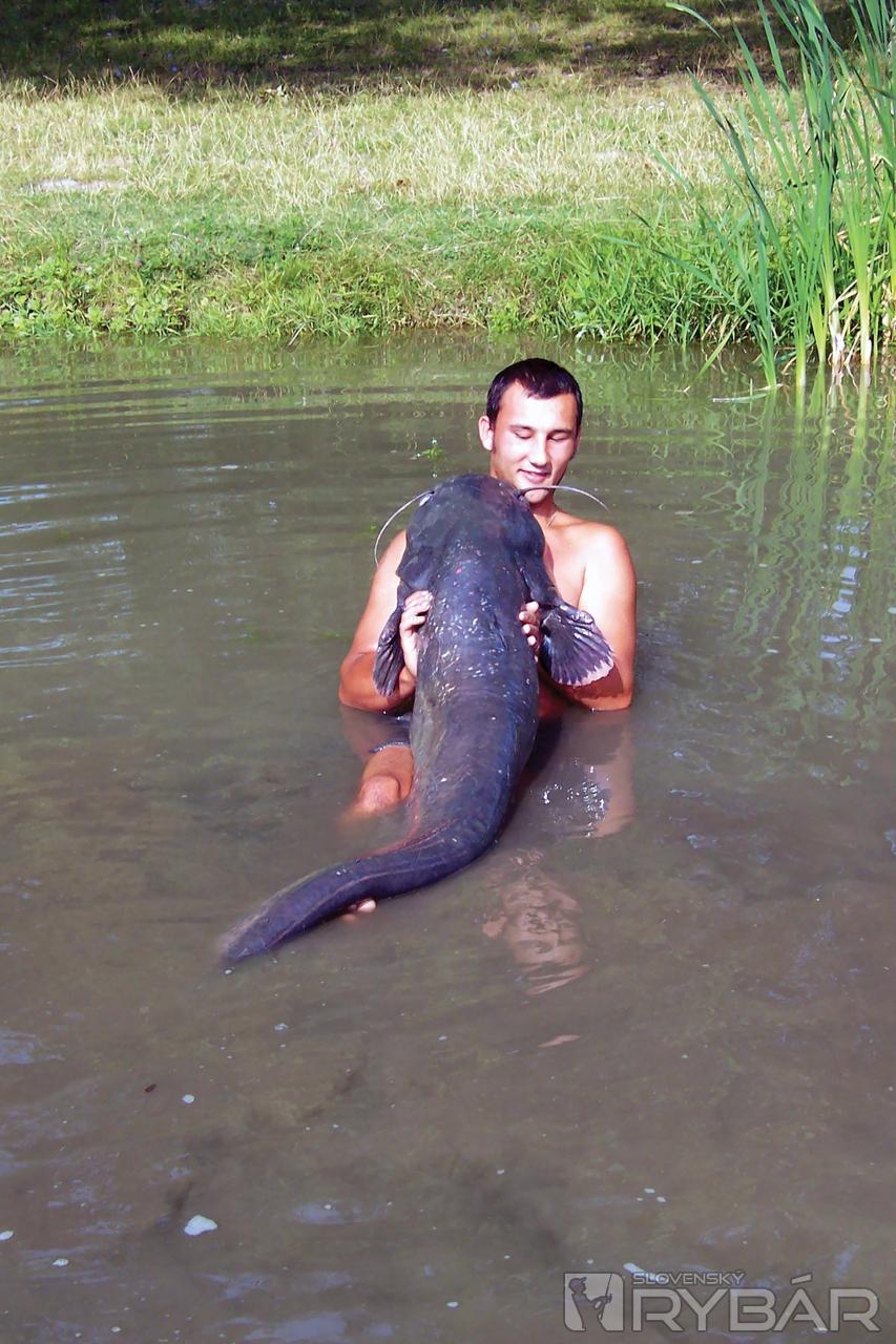 Ryby s mierou okolo 190 cm boli na Sĺňave na prelome tisícročia veľmi slušne zastúpené.